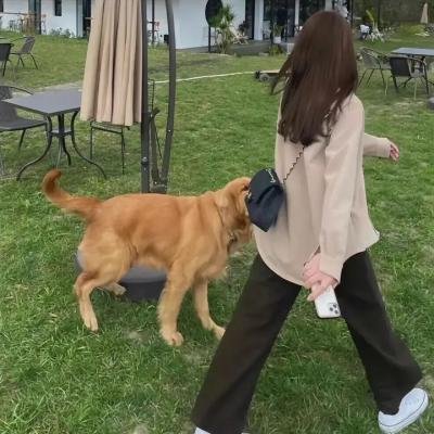 寻宝游戏